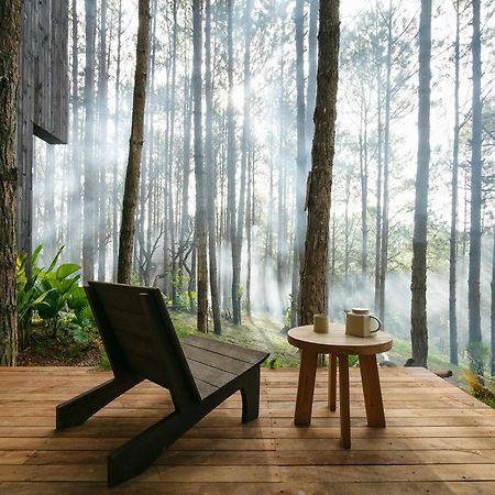 Mo Stay - Forest Resort Đà Lạt Ngoại thất bức ảnh