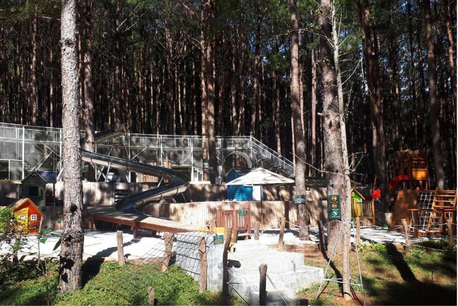 Mo Stay - Forest Resort Đà Lạt Ngoại thất bức ảnh