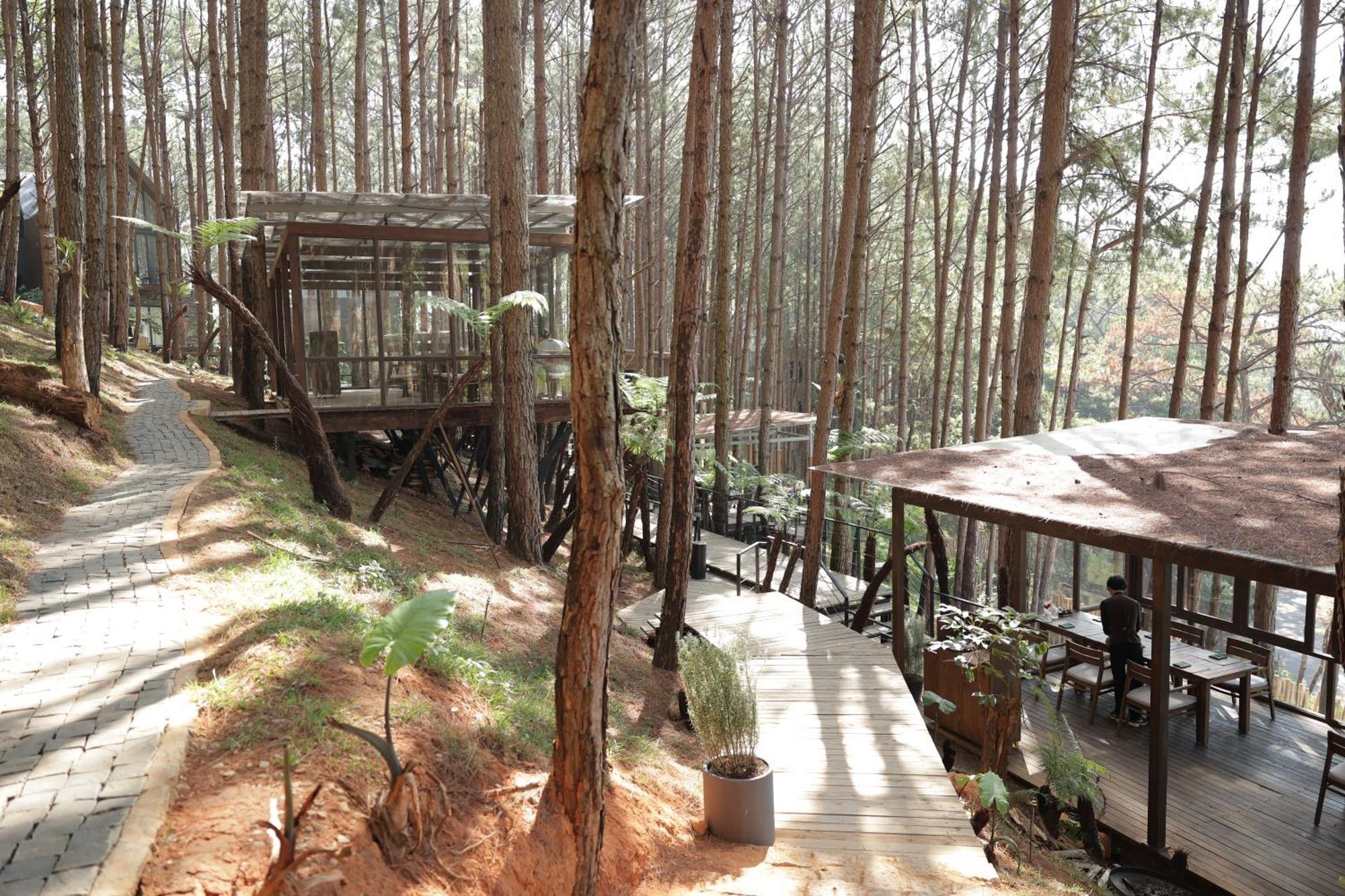 Mo Stay - Forest Resort Đà Lạt Ngoại thất bức ảnh