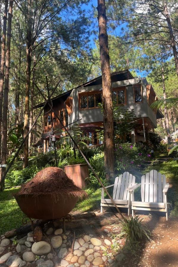 Mo Stay - Forest Resort Đà Lạt Ngoại thất bức ảnh