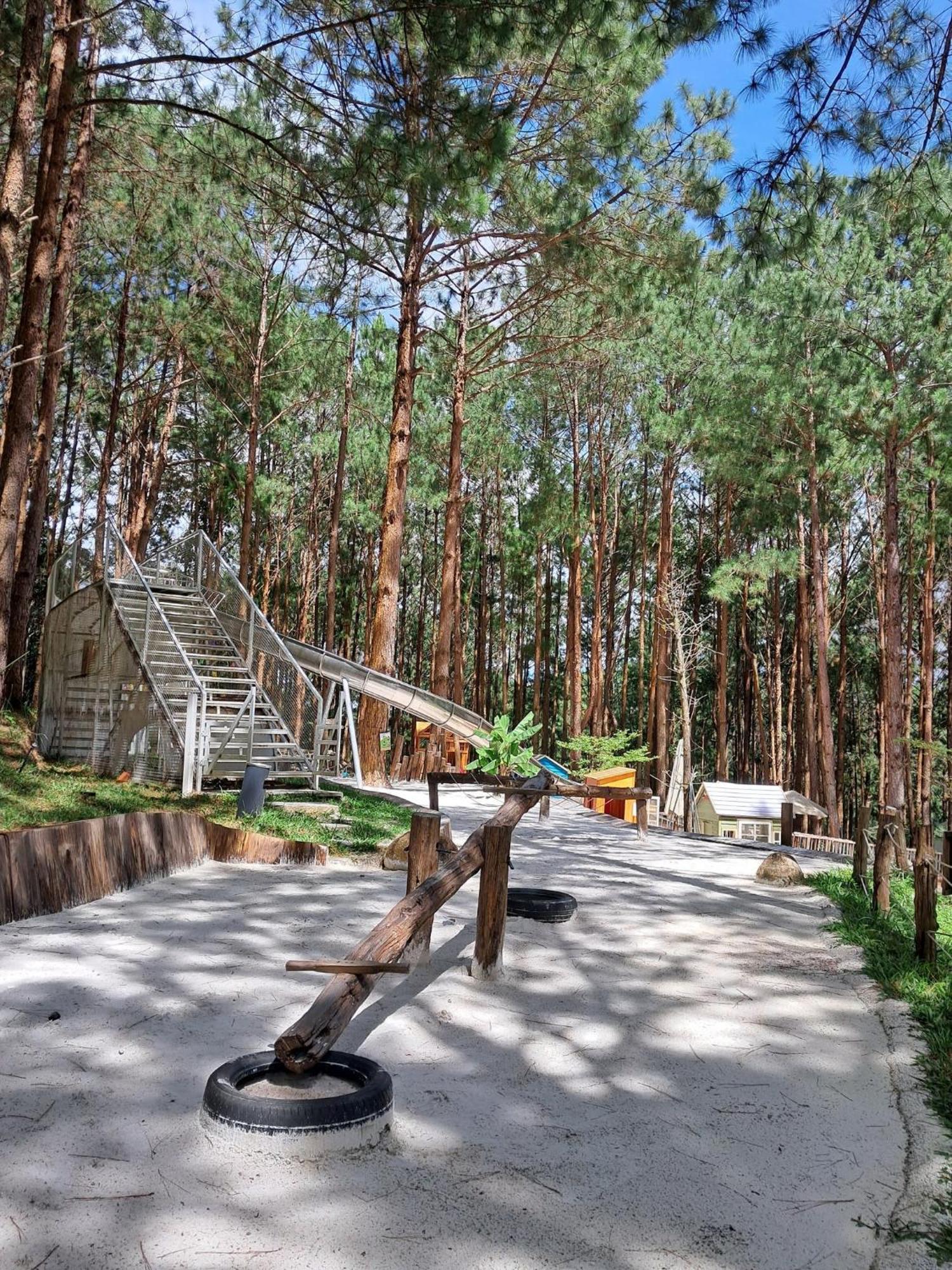 Mo Stay - Forest Resort Đà Lạt Ngoại thất bức ảnh
