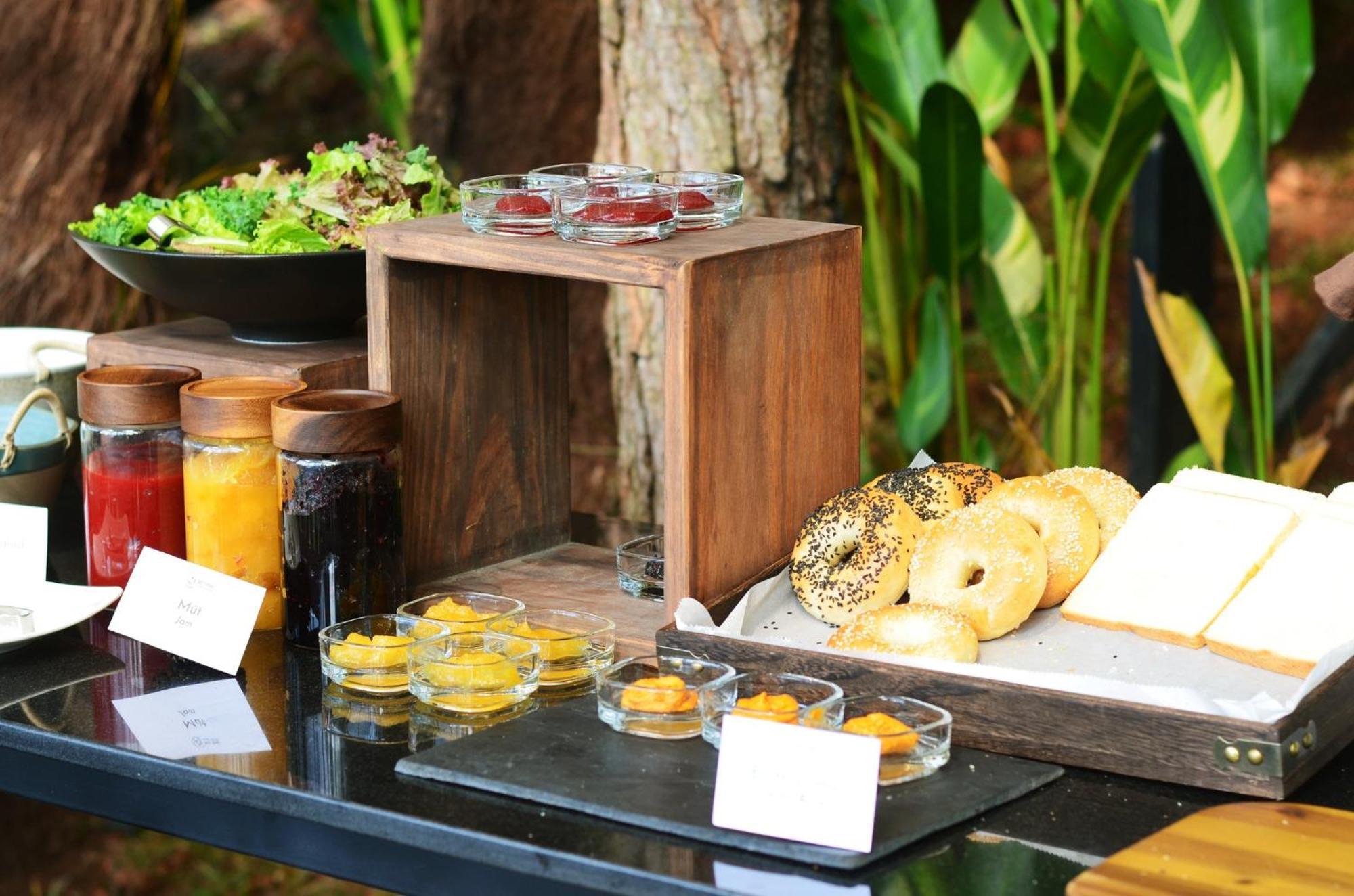 Mo Stay - Forest Resort Đà Lạt Ngoại thất bức ảnh