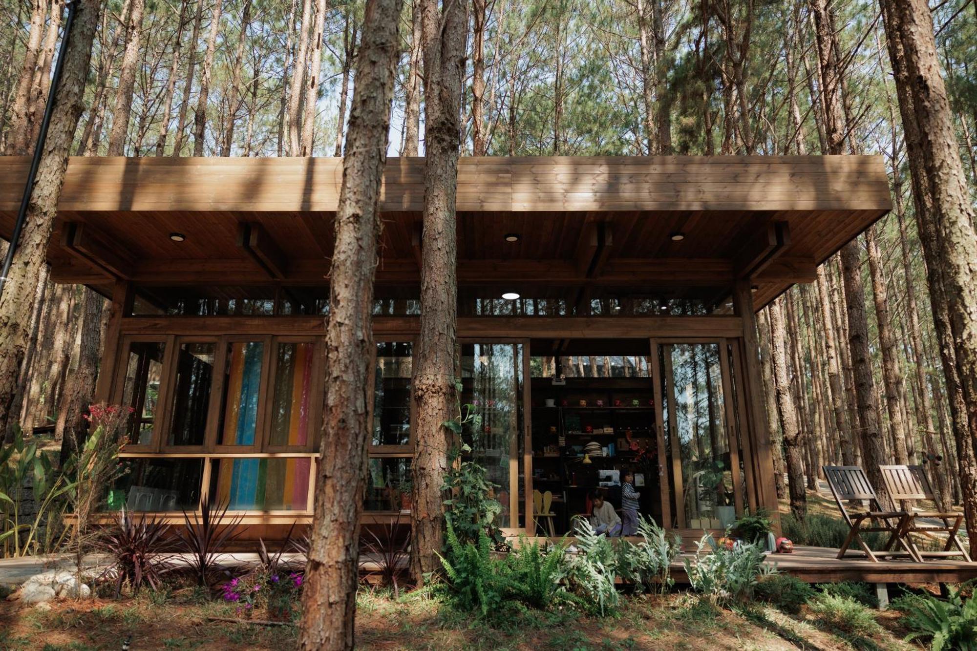 Mo Stay - Forest Resort Đà Lạt Ngoại thất bức ảnh