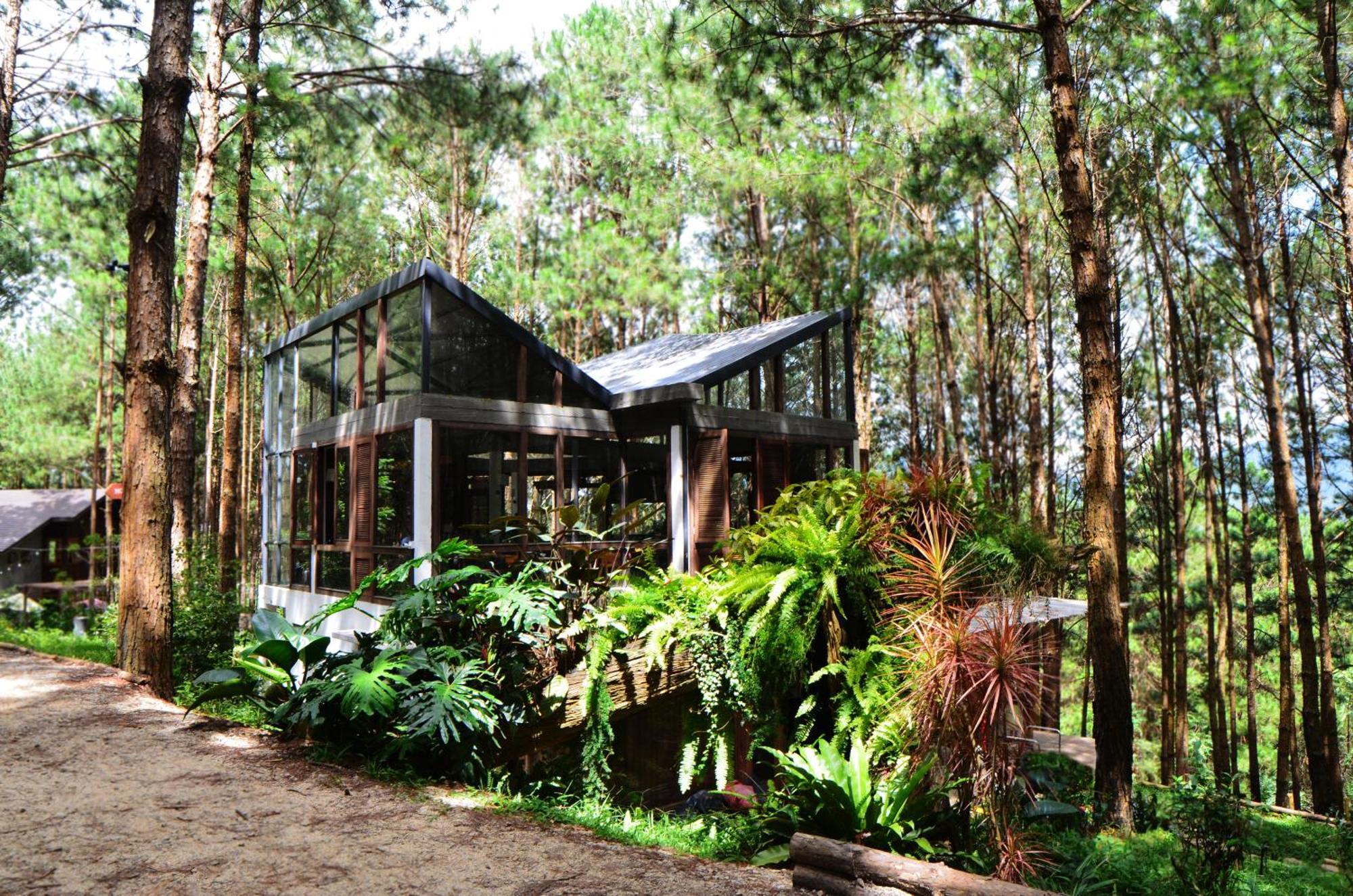 Mo Stay - Forest Resort Đà Lạt Ngoại thất bức ảnh