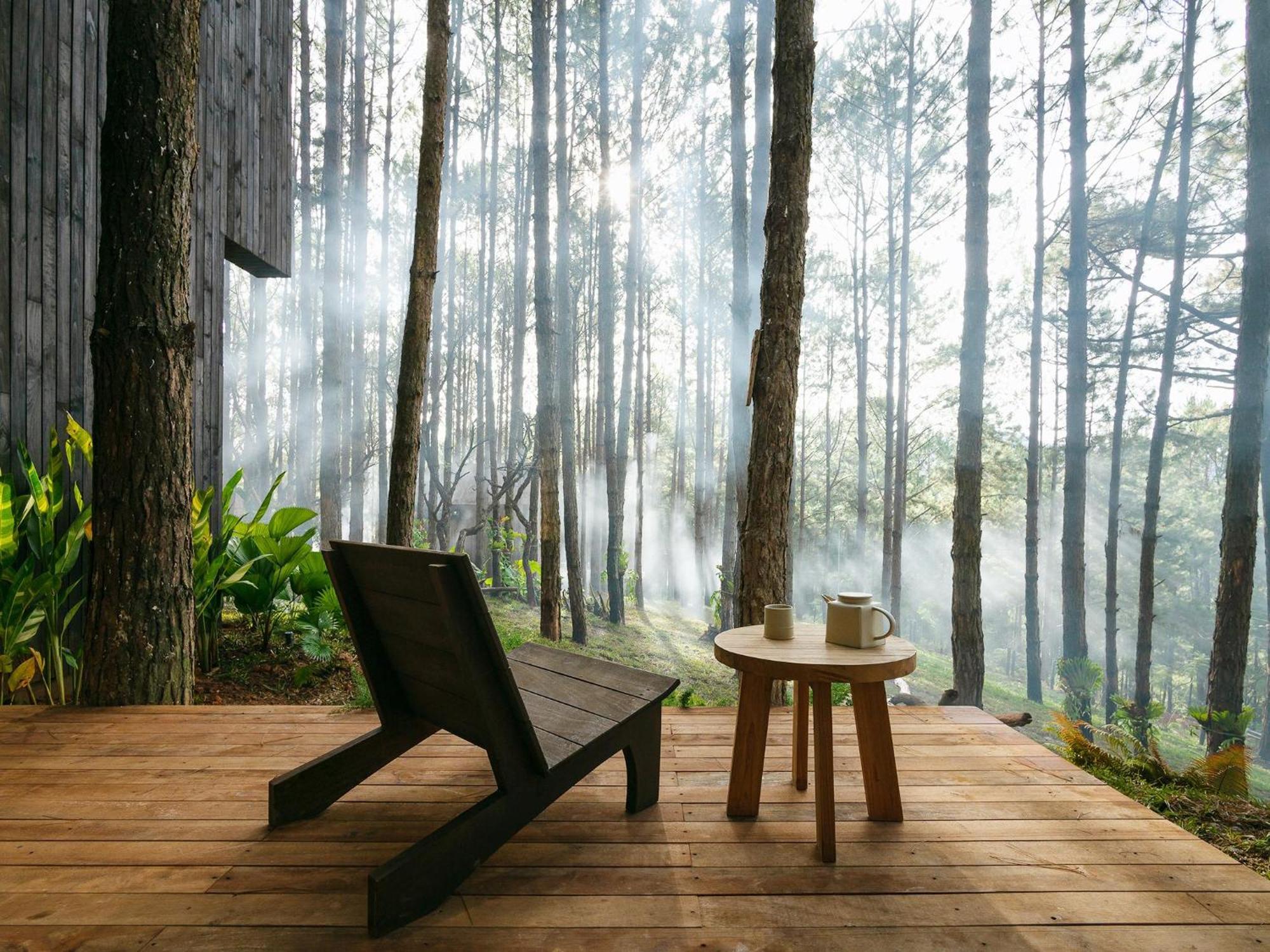 Mo Stay - Forest Resort Đà Lạt Ngoại thất bức ảnh