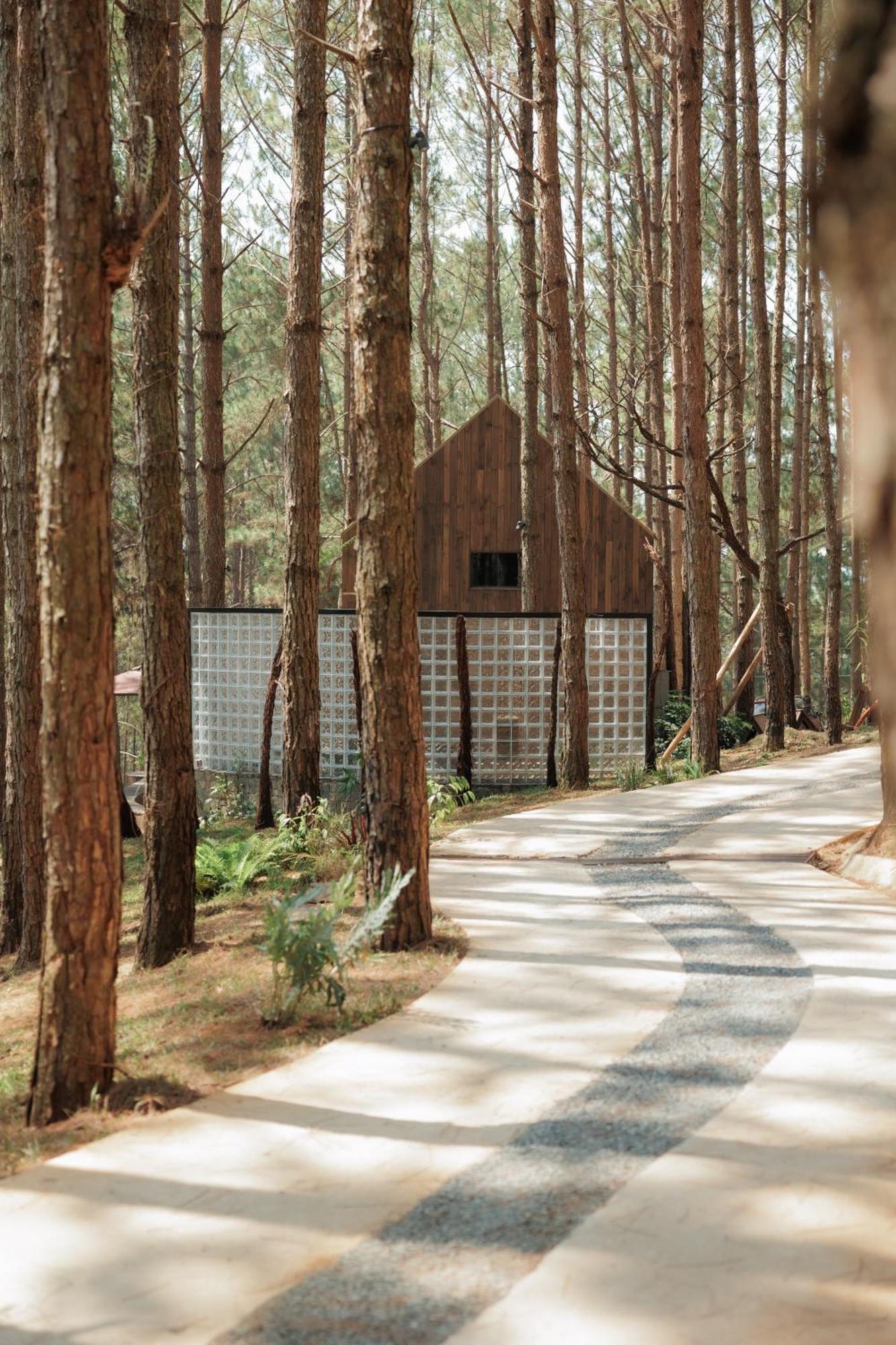 Mo Stay - Forest Resort Đà Lạt Ngoại thất bức ảnh