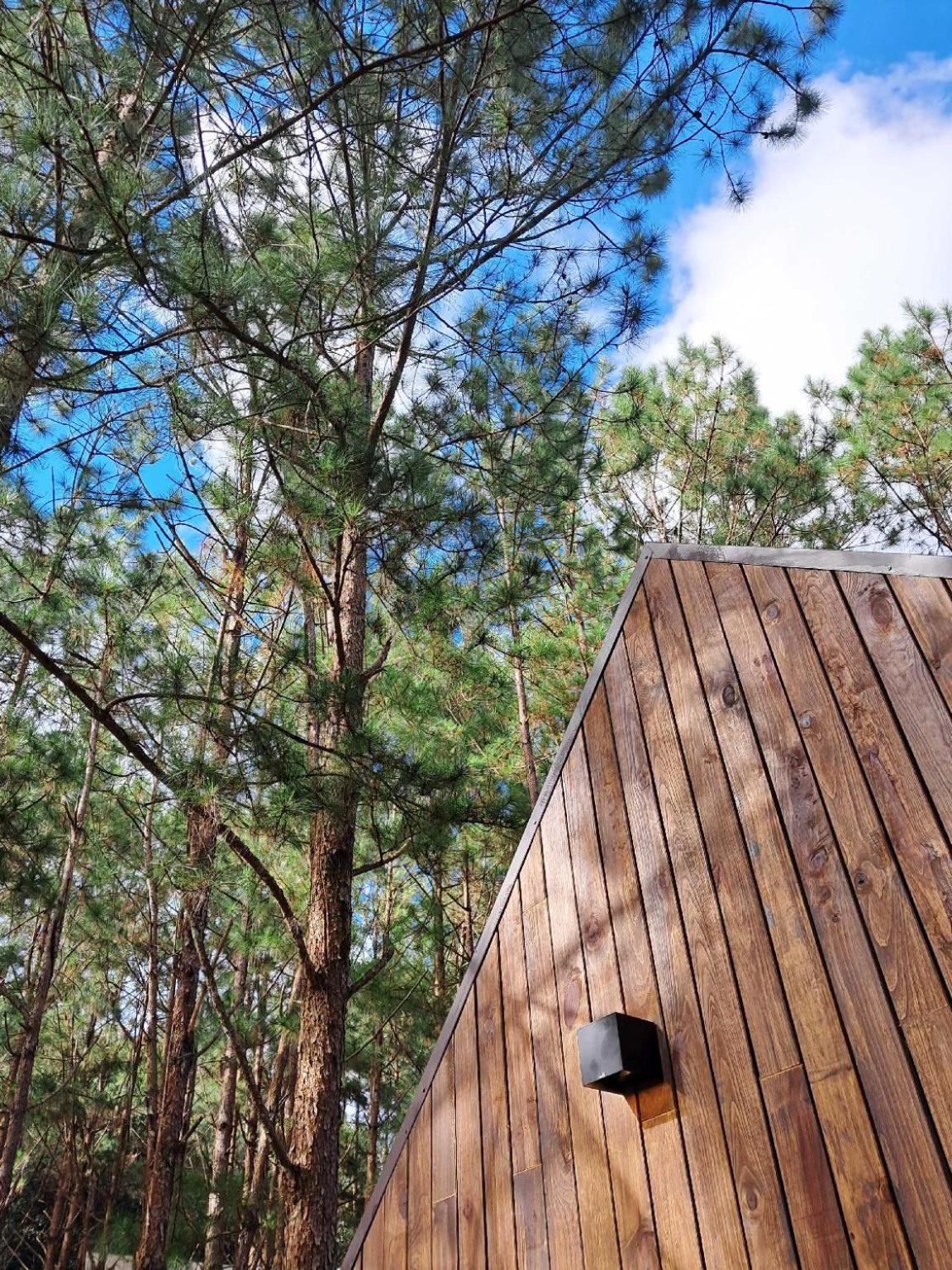 Mo Stay - Forest Resort Đà Lạt Ngoại thất bức ảnh